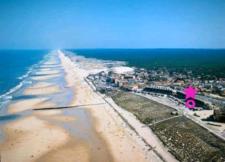 L'Ocean&Dunes Vue A 180° En Bord De Plage Lacanau Kültér fotó