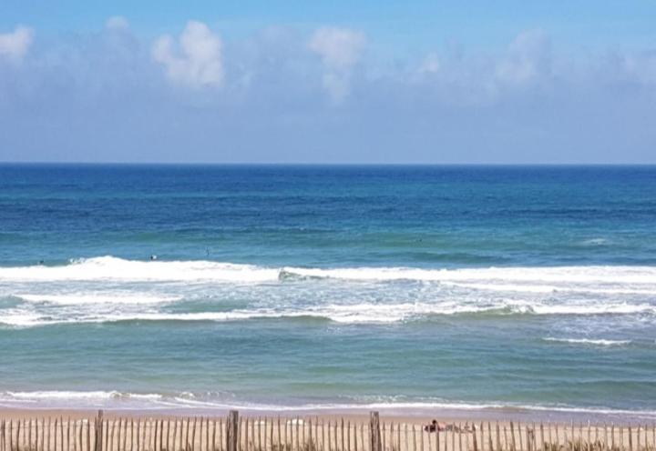 L'Ocean&Dunes Vue A 180° En Bord De Plage Lacanau Kültér fotó