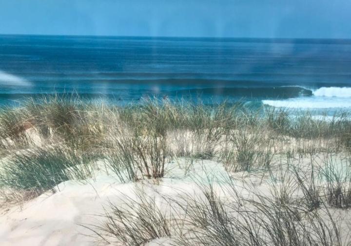 L'Ocean&Dunes Vue A 180° En Bord De Plage Lacanau Kültér fotó